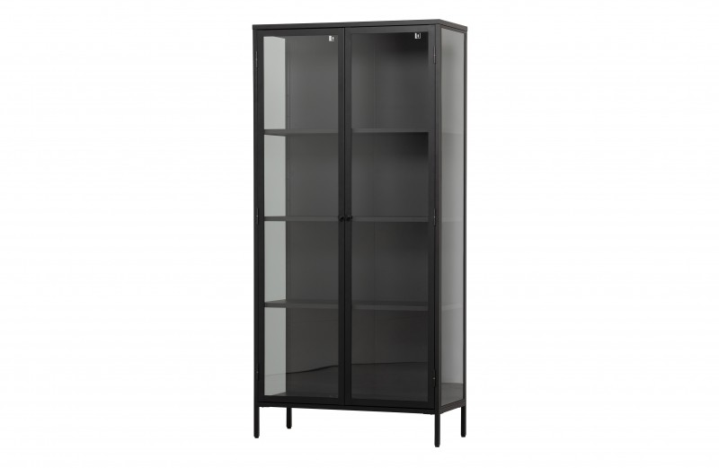 CABINET IRON GLASS 190 - CABINETS, SHELVES